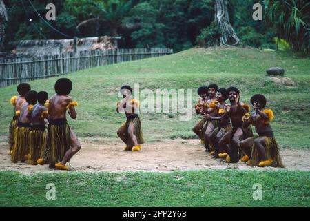 Nachstellung des traditionellen fidschianischen Lebens, Pacific Harbour Cultural Centre, Viti Levu, Fidschi Stockfoto