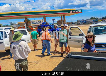 Eine Karawane voller Autos, comboy. Trevor, Charles 'Chip' Hedgcock, Dale Turnes, John Eric Falafal, Sky Jacobs, Tom Vandevender, John Palting , Rena Carlson Rasmussen, Rachael Hurst, Margarethe Brummermann Expedition von Biologen und Wissenschaftlern aus MEX und den USA verschiedener Disziplinen der biologischen Wissenschaften, Personal aus dem National Forest Reserve und AJOS-BAVISPE CONANP Wildlife Refuge, Führen Sie in der Sierra Buenos Aires die Madreanische Diversitätsexpedition (MDE) in Sonora Mexiko durch. Conservation , Nature (© Photo by Luis Gutierrez / Norte Photo) Caravana de autos, comboy. Expedition de biologos y Stockfoto