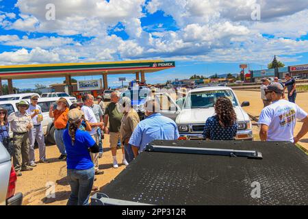 Eine Karawane voller Autos, comboy. Trevor, Charles 'Chip' Hedgcock, Dale Turnes, John Eric Falafal, Sky Jacobs, Tom Vandevender, John Palting , Rena Carlson Rasmussen, Rachael Hurst, Margarethe Brummermann Expedition von Biologen und Wissenschaftlern aus MEX und den USA verschiedener Disziplinen der biologischen Wissenschaften, Personal aus dem National Forest Reserve und AJOS-BAVISPE CONANP Wildlife Refuge, Führen Sie in der Sierra Buenos Aires die Madreanische Diversitätsexpedition (MDE) in Sonora Mexiko durch. Conservation , Nature (© Photo by Luis Gutierrez / Norte Photo) Caravana de autos, comboy. Expedition de biologos y Stockfoto