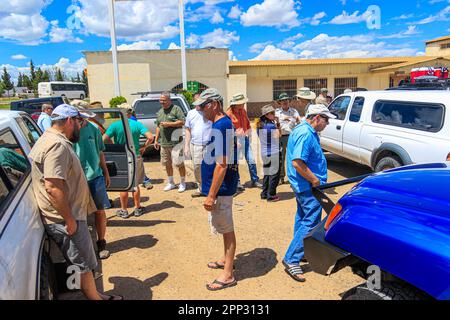 Eine Karawane voller Autos, comboy. Trevor, Charles 'Chip' Hedgcock, Dale Turnes, John Eric Falafal, Sky Jacobs, Tom Vandevender, John Palting , Rena Carlson Rasmussen, Rachael Hurst, Margarethe Brummermann Expedition von Biologen und Wissenschaftlern aus MEX und den USA verschiedener Disziplinen der biologischen Wissenschaften, Personal aus dem National Forest Reserve und AJOS-BAVISPE CONANP Wildlife Refuge, Führen Sie in der Sierra Buenos Aires die Madreanische Diversitätsexpedition (MDE) in Sonora Mexiko durch. Conservation , Nature (© Photo by Luis Gutierrez / Norte Photo) Caravana de autos, comboy. Expedition de biologos y Stockfoto