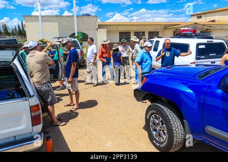 Eine Karawane voller Autos, comboy. Trevor, Charles 'Chip' Hedgcock, Dale Turnes, John Eric Falafal, Sky Jacobs, Tom Vandevender, John Palting , Rena Carlson Rasmussen, Rachael Hurst, Margarethe Brummermann Expedition von Biologen und Wissenschaftlern aus MEX und den USA verschiedener Disziplinen der biologischen Wissenschaften, Personal aus dem National Forest Reserve und AJOS-BAVISPE CONANP Wildlife Refuge, Führen Sie in der Sierra Buenos Aires die Madreanische Diversitätsexpedition (MDE) in Sonora Mexiko durch. Conservation , Nature (© Photo by Luis Gutierrez / Norte Photo) Caravana de autos, comboy. Expedition de biologos y Stockfoto