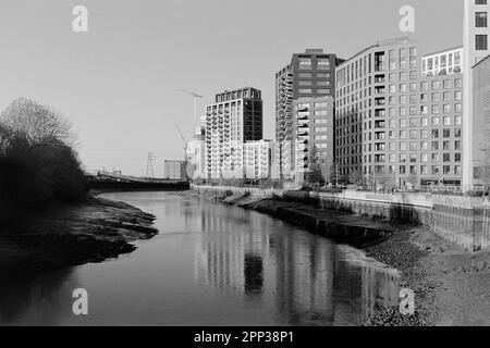 Die neue Londoner City Island-Entwicklung auf der Leamouth Peninsula, East London UK, mit dem Fluss Lea, in Monochrom Stockfoto