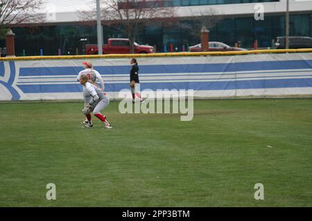 SLU Softball vs. Northern Illinois (Huskies) & Bradley (Braves) at St. Louis Universität. Stockfoto