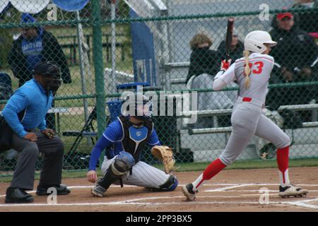 SLU Softball vs. Northern Illinois (Huskies) & Bradley (Braves) at St. Louis Universität. Stockfoto