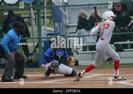 SLU Softball vs. Northern Illinois (Huskies) & Bradley (Braves) at St. Louis Universität. Stockfoto