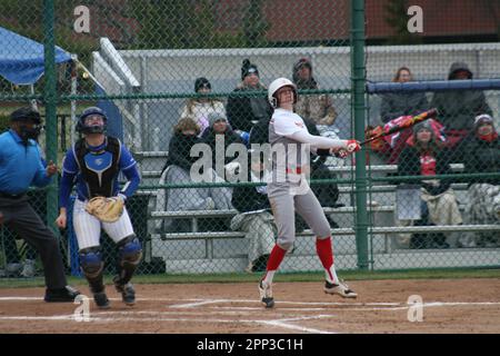 SLU Softball vs. Northern Illinois (Huskies) & Bradley (Braves) at St. Louis Universität. Stockfoto