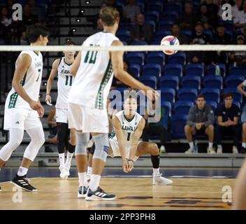 21. April 2023 - Hawaii Rainbow Warriors Chaz Galloway #1 spielt einen Auftritt während eines Halbfinalspiels der Big West Conference Championships zwischen den UC Santa Barbara Gauchos und den Hawaii Rainbow Warriors im Bren Events Center in Irvine, CA – Michael Sullivan/CSM Stockfoto