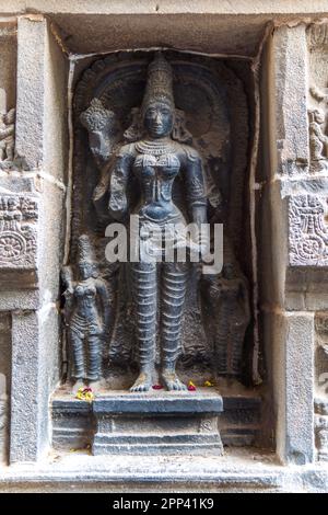 Auf dem Gopuram des Nataraja-Tempels in Chidambaram sind Tamil Nadu, Indien, geschnitzte tanzende Idole. Stockfoto