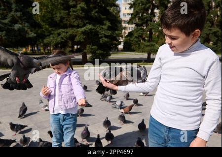 Ein glücklicher Junge, der auf dem Marktplatz steht, mit Tauben an den Händen, genießt ein glückliches Wochenende, Vögel zu füttern. . Kinder füttern Tauben im Freien. Menschen. Nat Stockfoto