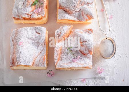Köstlicher Choux Gebäck Kuchen mit Vanillesahne und Puderzucker. Traditionelle polnische Cremetorte. Stockfoto