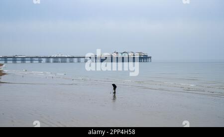 Brighton UK 22. April 2023 - Ein einsamer Ködergräber macht das Beste aus der Ebbe am Brighton Beach an einem düsteren grauen Morgen entlang der Südküste : Credit Simon Dack / Alamy Live News Stockfoto