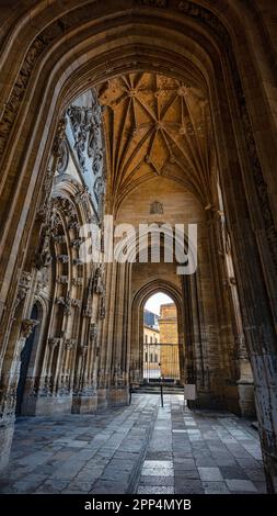 Zugang durch die Frontfassade zur monumentalen gotischen Kathedrale der Stadt Oviedo, Asturien. Stockfoto