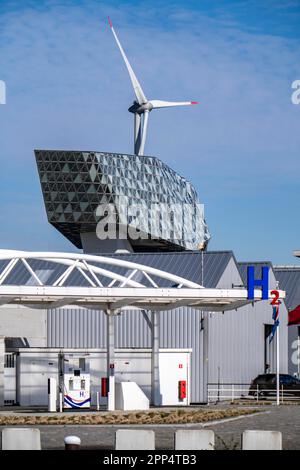 Wasserstofftankstelle in Antwerpen, für Pkw und Lkw, H2-Buchstaben, Windturbine im Hafen, Havenhuis, Belgien Stockfoto