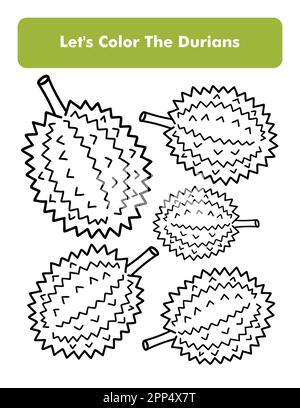 Durians Malbuch Seite In Letter Seitengröße Kinder Arbeitsblatt Farbe Premium Vektorelement Stock Vektor