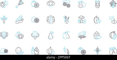 Linearer Symbolsatz für Eckladen. Lebensmittel, Bequemlichkeit, Chips, Süßigkeiten, Bier, Zigaretten, Imbisse, Linienvektor und Konzeptschilder. Lotterie, Magazin, Limonade Stock Vektor