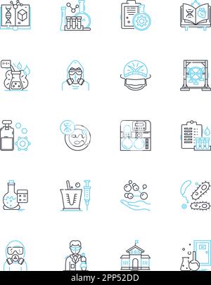 Sozialwissenschaft - Lineare Symbole gesetzt. Anthropologie, Soziologie, Wirtschaft, Psychologie, Politik, Geografie, Demographie Linienvektor und Konzeptzeichen Stock Vektor