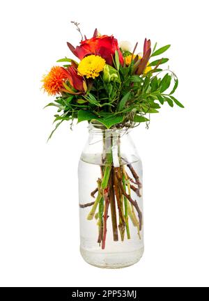 Nahaufnahme eines isolierten Flower Arrangement in einem Glas Vase Stockfoto