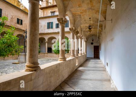 Patio, Kathedrale von Palma, Palma de Mallorca, Spanien Stockfoto