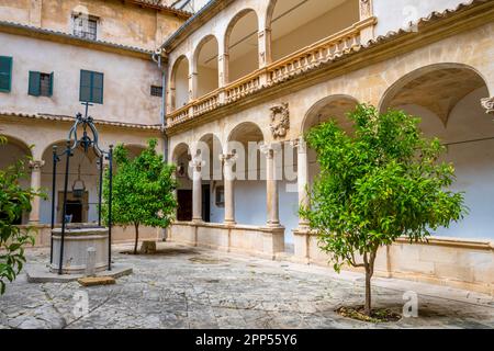 Patio, Kathedrale von Palma, Palma de Mallorca, Spanien Stockfoto