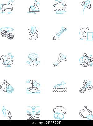 Umweltfreundliche Landwirtschaft, lineare Symbole eingestellt. Nachhaltig, Organisch, Regenerativ, Natürlich, Erhaltung, Boden-, Kompost-Linienvektor- und Konzeptschilder Stock Vektor