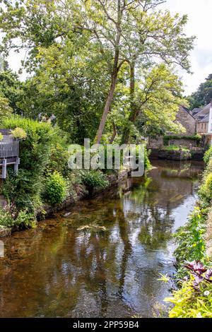 Pont-Aven. Der Küstenfluss Aven bei 'Bois d'Amour' in der Nähe des Stadtzentrums. Finistère Bretagne Stockfoto