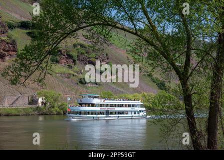 Erden, Deutschland. 22. April 2023. Das Ausflugsboot 'Moselkönigin' passiert bei gutem Wetter den Weinberg 'Erdener Treppchen'. Das Wetter soll sich in der Region am Wochenende ändern. Kredit: Harald Tittel/dpa/Alamy Live News Stockfoto