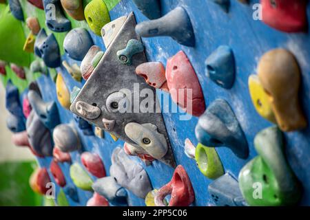 Detaildarstellung einer vertikalen Wand einer Kletterwand im Innenbereich mit Haltevorrichtungen in verschiedenen Farben, um das Klettern zu üben Stockfoto