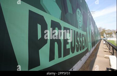Münster, Deutschland. 22. April 2023. firo: 22.04.2023 Fußball, Fußball, Saison der Regionalliga, 2022/2023, Regionalliga West, Rückflug, 31. Spieltag SC Preussen Munster, SCP, Preussen Münster - Fortuna Düsseldorf 2, II, Two, schalldichte Wand, lackiert, Farbe, Preussen Munster Credit: dpa/Alamy Live News Stockfoto