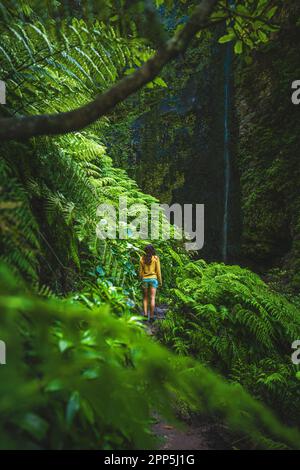 Beschreibung: Touristenfrau, die auf einem mit Farn überwucherten Wanderweg spaziert, malerischer, überwucherter Wasserfall im Madeiranischen Regenwald. Levada von C Stockfoto