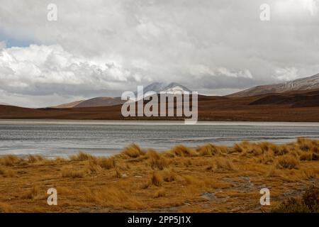 Ein kalter und bewölkter Tag in der Laguna Cañapa, im Bezirk Potosí, Bolivien Stockfoto