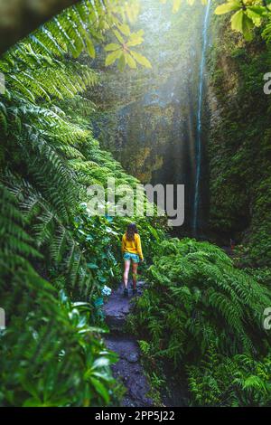 Beschreibung: Touristenfrau, die auf einem mit Farn überwucherten Wanderweg spaziert, malerischer, überwucherter Wasserfall im Madeiranischen Regenwald. Levada von C Stockfoto