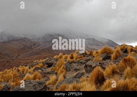 Ein kalter und bewölkter Tag in der Laguna Cañapa, im Bezirk Potosí, Bolivien Stockfoto