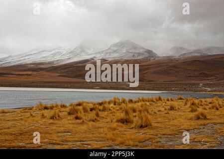 Ein kalter und bewölkter Tag in der Laguna Cañapa, im Bezirk Potosí, Bolivien Stockfoto