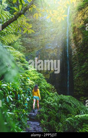 Beschreibung: Touristenfrau, die auf einem mit Farn überwucherten Wanderweg spaziert, malerischer, überwucherter Wasserfall im Madeiranischen Regenwald. Levada von C Stockfoto