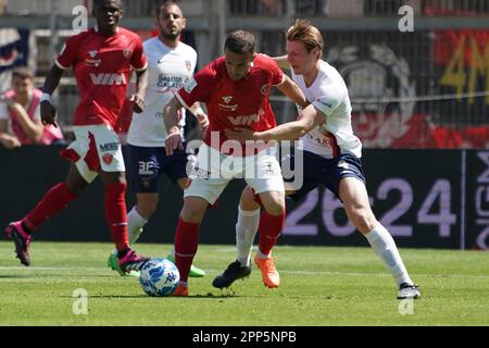 Perugia, Italien. 22. April 2023. Renato Curi Stadion, Perugia, Italien, 22. April 2023, Capezzi leonardo (n.82 perugia calcio) / brescianini marco (n.04 perugia calcio) während AC Perugia vs Cosenza Calcio - italienisches Fußballspiel Serie B Credit: Live Media Publishing Group/Alamy Live News Stockfoto