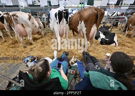 Brünn, Tschechische Republik. 22. April 2023. National Livestock Show, National Gamekeeping Show und International Fair for Livestock Production Animal Tech in Brünn, Tschechische Republik, 22. April 2023. Kredit: Vaclav Salek/CTK Photo/Alamy Live News Stockfoto