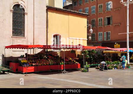 Blumenmarkt Cours Lafayette in Toulon im Sommer Stockfoto