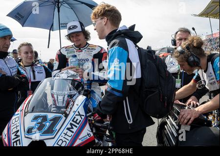 NÂ°31 Garrett Gerloff USA BMW M 1000 RR Bonovo Action BMW während der Pirelli Dutch Round FIM Superbike World Championship 2023 - Race1, World Superbike - SBK in Assen, Niederlande, April 22 2023 Stockfoto