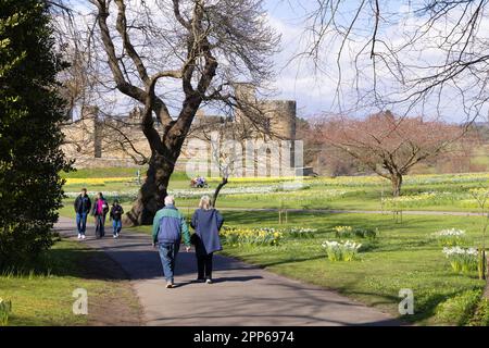 Alnwick Castle Northumberland; ein großes mittelalterliches Schloss aus dem 12. Jahrhundert. Besucher in den Schlossgärten an einem sonnigen Frühlingstag; Alnwick Northumberland UK Stockfoto