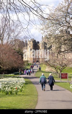 Alnwick Castle Northumberland; ein großes mittelalterliches Schloss aus dem 12. Jahrhundert. Besucher in den Schlossgärten an einem sonnigen Frühlingstag; Alnwick Northumberland UK Stockfoto