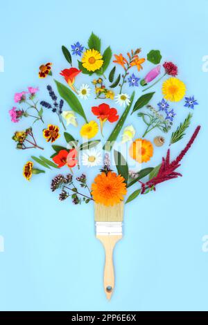 Surreales Pinsel-Spritzkonzept mit Sommerblumen, Wildblumen und Kräutern. Heilpflanzenmedizin, abstraktes Heilgeblümtes Naturkonzept Stockfoto