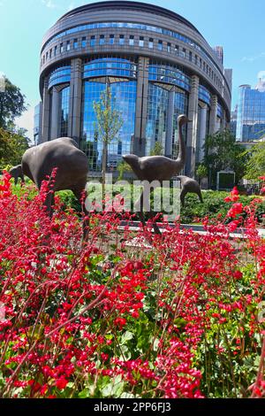 BRÜSSEL, BELGIEN - 12. MAI 2018: Skulpturen von Ostriche, von Ixelles Architects MSA, Park Leopold. Hintergrund des Plenums des Europäischen parlaments Stockfoto