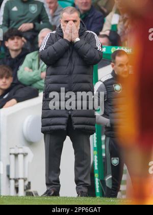 Keltische Managerin Angelos Postecoglou während des Cinch-Premiership-Spiels im Celtic Park, Glasgow. Foto: Samstag, 22. April 2023. Stockfoto