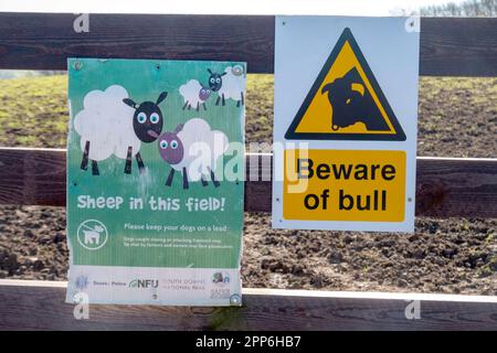 Zwei aninale Warnschilder für Wanderer, die ein Feld auf Church Hill bei Findon im South Downs National Park, West Sussex, Großbritannien überqueren. Stockfoto