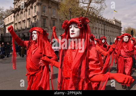 London, England, Großbritannien. 22. April 2023. Die Rote Brigade erschien lautlos vor der Downing Street, um sich dem Protest der Rebellion gegen die Ausrottung anzuschließen. Der zweite Tag der Ausrottung Rebellion 'Big One - Unite to Survival' Kundgebung am Parliament Square und Westminster. (Kreditbild: © Thomas Krych/ZUMA Press Wire) NUR REDAKTIONELLE VERWENDUNG! Nicht für den kommerziellen GEBRAUCH! Stockfoto