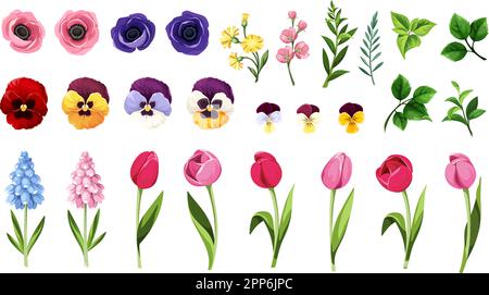 Bunte Blumen und Blätter isoliert auf weißem Hintergrund. Set aus bunten Tulpen-, Weichei-, Anemon- und Hyazinthen-Blumen und grünen Blättern. Vektorillus Stock Vektor