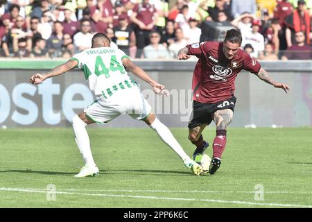 Salerno, Italien. 22. April 2023. Pasquale Mazzocchi von US Salernitana tritt mit Ruan Tressoldi von US Sassuolo Calcio um den Ball während des Spiels der Serie A zwischen US Salernitana 1919 und US Sassuolo Calcio im Arechi Stadium an. Credit: Independent Photo Agency/Alamy Live News Stockfoto