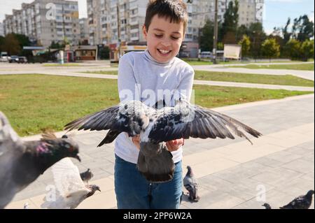 Ein bezaubernder, weißer Junge im Alter von 10 Jahren, der Spaß beim Familienausflug hat, fliegende Tauben in die Hände füttert, sich um die Tiere in der kümmert Stockfoto