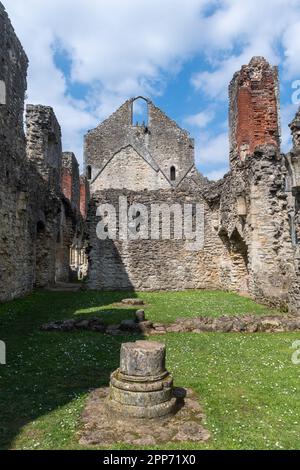 Netley Abbey, Hampshire, England, Großbritannien, Blick auf das historische Wahrzeichen im April oder Frühling an einem sonnigen Tag mit blauem Himmel Stockfoto