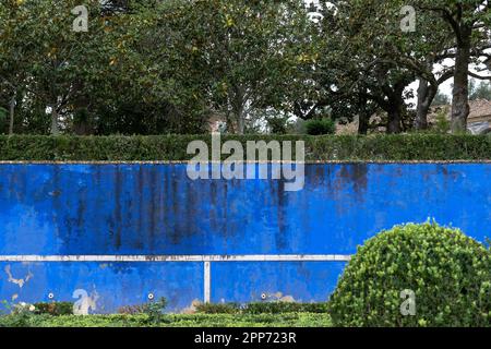 Bäume und Pflanzen in einem Garten. Blaue verwitterte Schimmelwand außen Stockfoto